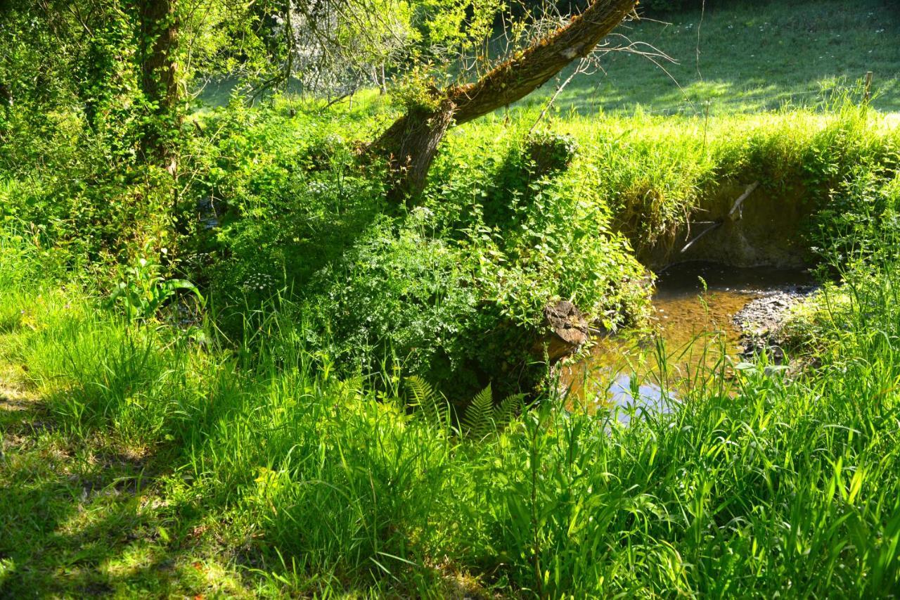 Plourivo Le Domaine Du Pont Canon المظهر الخارجي الصورة
